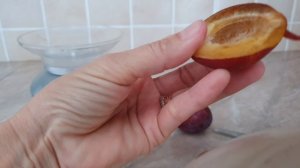Слива Любимица султана.