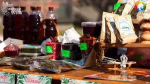 Елизовская осень-2025