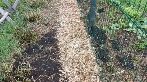 чтобы не было сорняков