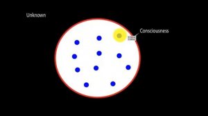 Теория симуляции Тома Кэмпбелла - объяснение менее чем за 5 минут