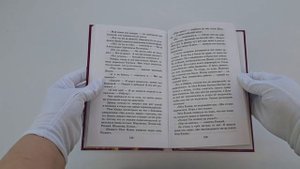 Чучело (ил. В. Гальдяева)