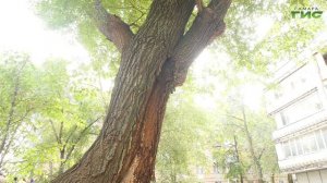 Новый облик сквера Чудайкина: детали проекта, разработанного жителями Самары