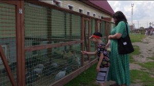 Агротуризм набирает популярность у тюменцев