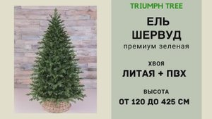 Triumph Tree - ОБЗОР искусственной ели Шервуд премиум зеленая