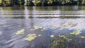 ЛУЧШЕЕ ВРЕМЯ ДЛЯ УВОЛЬНЕНИЯ