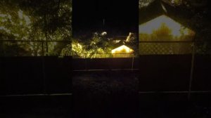 НОЧНОЙ СКОПИН