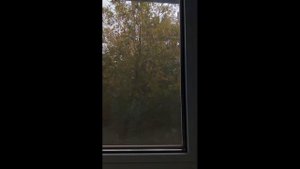 1 сентября в школу 😮💨