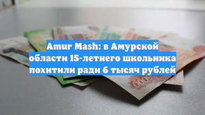 Amur Mash: в Амурской области 15-летнего школьника похитили ради 6 тысяч рублей