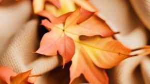 С Добрым утром! Легкого и Удачного Дня 🌞