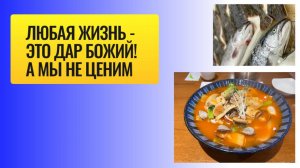 Жизнь каждого бесценна. Живите долго.