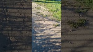 гуляю по своему посёлку