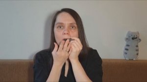 Reinlender. Обучающее видео