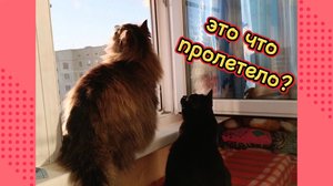 Оно здесь всегда пролетает...