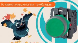 Клавиатуры, кнопки, тумблеры - Олниса