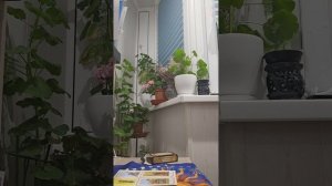 Чего ждать в сентябре