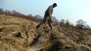 Более 150 тысяч россиян стали обладателями участков в рамках программы «Гектар»