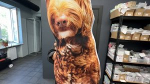 Подушка игрушка с фотографией и в форме вашего питомца