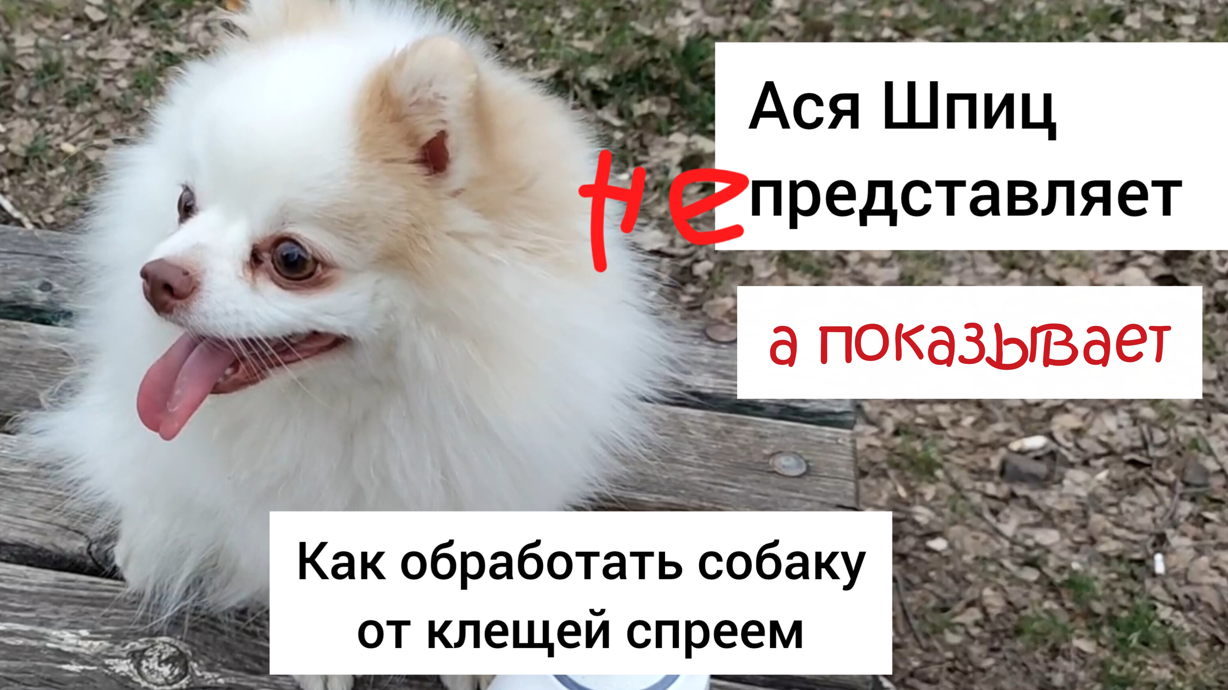 Как обработать собаку спреем от клещей смотреть онлайн