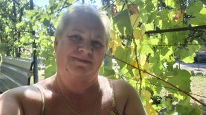 321.  Привет из Крыма. Осень началась дождём. Утренняя рутина. Блины,блины. 03.09.25.