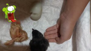 Новая жизнь. Таинство рождения.