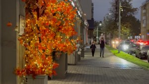 Набережная Оки на ул.Советской, Нижегородская ярмарка, листья на Горького. Н.Новгород.