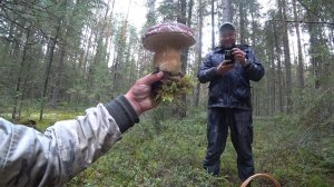 КАК У МЕНЯ БРАТУЛЕЦ В ДЕРЕВНЕ ЖИЛ!? ГРИБНАЯ ЛИХОРАДКА 2025, РАЗНЫЕ ГРИБЫ \ ТИХАЯ ОХОТА В САМОМ СОКУ.