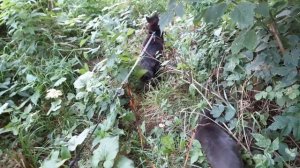 Хорошее местечко.