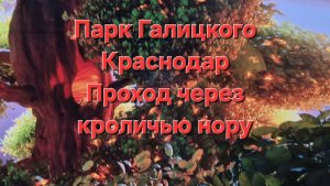 Парк Галицкого Краснодар Проход кроличью нору