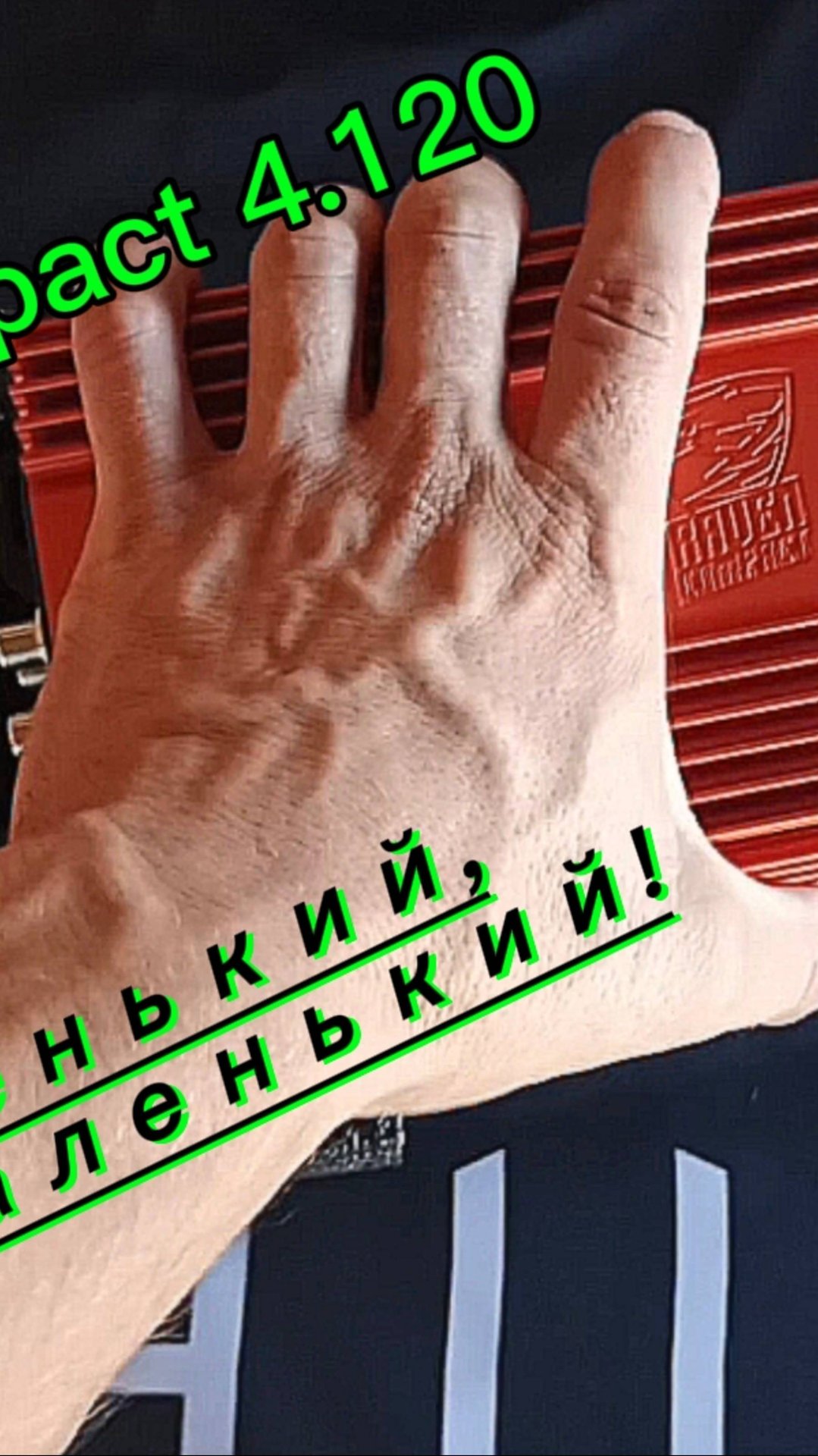 DL Audio Raven Compact 4.120