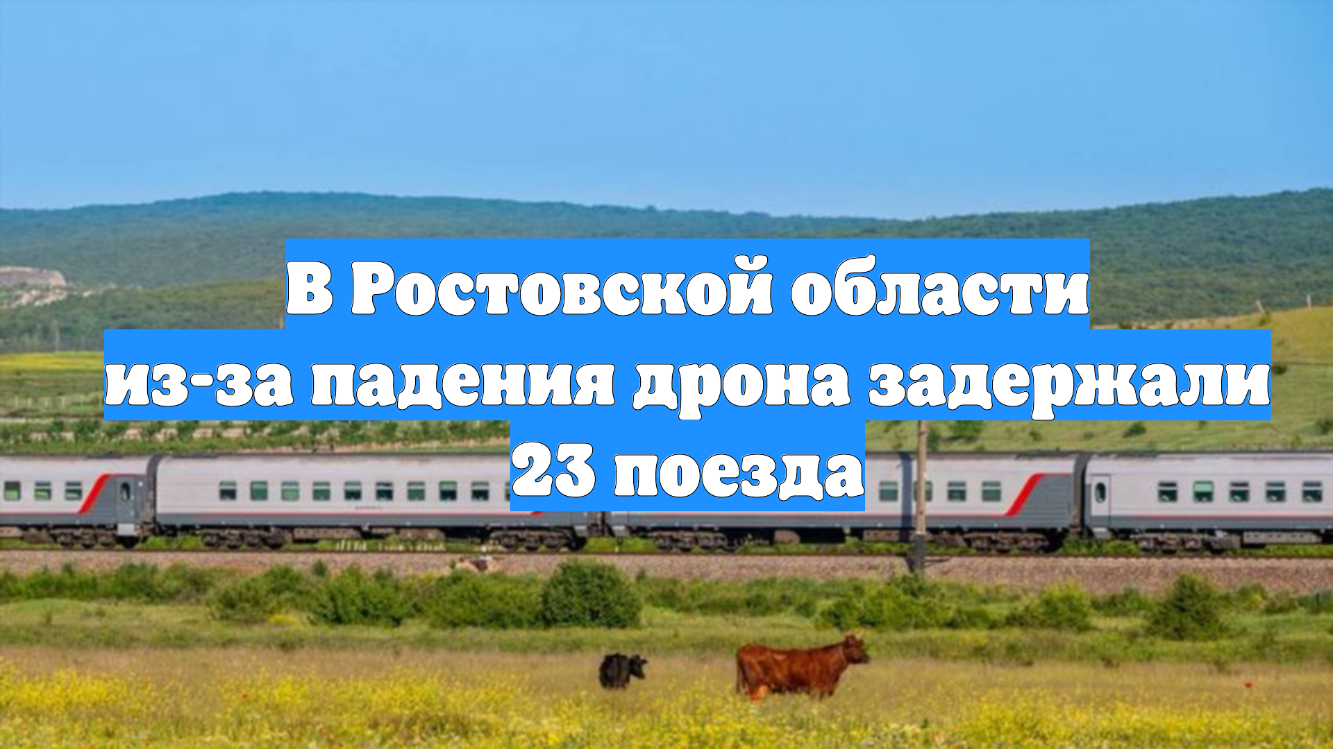 В Ростовской области из-за падения дрона задержали 23 поезда