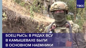 Боец Рысь: в рядах ВСУ в Камышевахе были в основном наемники