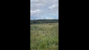 Дом сурского священника. Идет строительство.