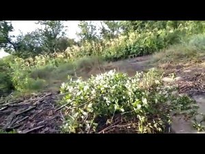 Переезд из Николаевска-на-Амуре.