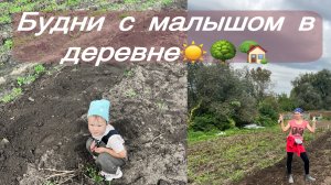 Обратно в деревню/Копаем картошку/ Домашние дела/ Будни мамы/