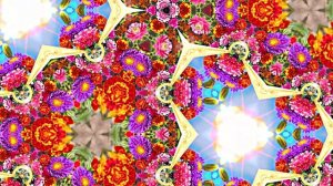 Осень!!! Осенние Цветы 6!!! Очарование осени!!! Осенняя Краса!!! Осенним женщинам!!!