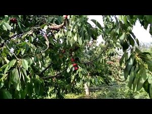 Зарабатываю деньги для того, чтобы провести свет.