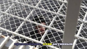 Пожизненный срок получил житель Запорожской области за диверсию и шпионаж