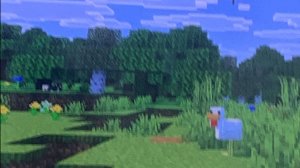 Пыльная поездка с Гарден холум