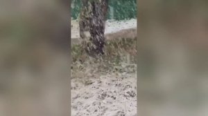 Снег на Семинском перевале