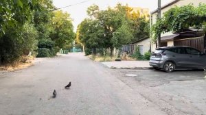 ОДЕССА 3 СЕНТЯБРЯ 2025. ЗАSТРЕЛИЛИ В СПИНУ НА ГРАНИЦЕ! SМЕР