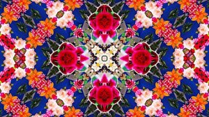 С Днём Рождения!!! Яркие Краски уходящего лета 6!!!