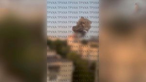 Минобороны сообщило о групповом ударе по топливной инфраструктуре ВСУ