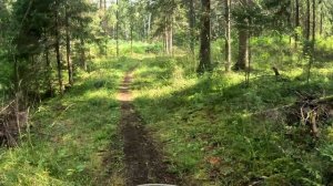 Открытая тренировка Эндуро