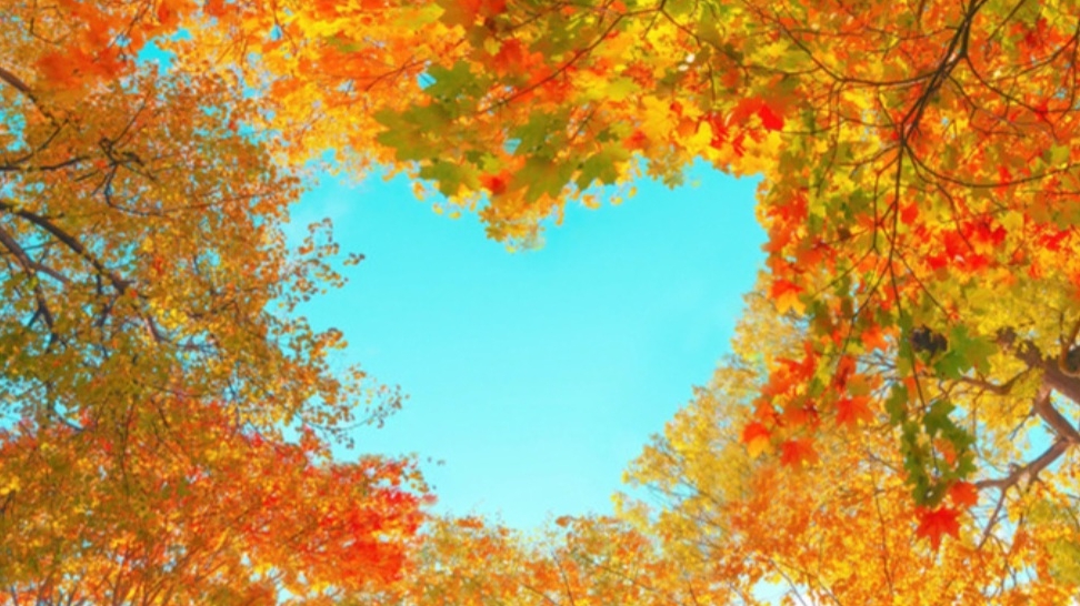 СП Добиваю недовязы 4/2025 Отчёт 31 с Мариной Стоговой смотреть онлайн