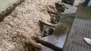 Стокерный склад, так называемое "Живое дно"