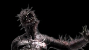 собрание аналоговых