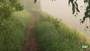 Душевные истории из жизни слушать онлайн.В поисках своего принца...