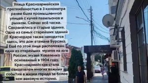 Дарья Гаматина | ТОЧКА.РФ – МЕСТО | г. Краснодар