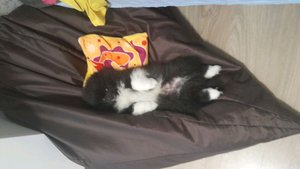 я иииииии...