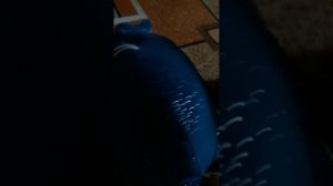 ДЗЫННИК СОШОЛ СУМА ЛИЛИЯ